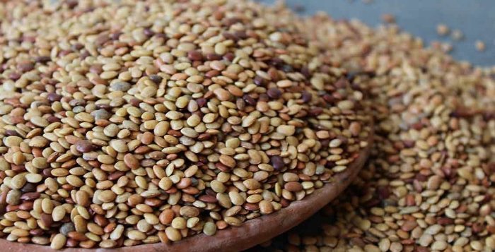 கொள்ளுப்பயறு